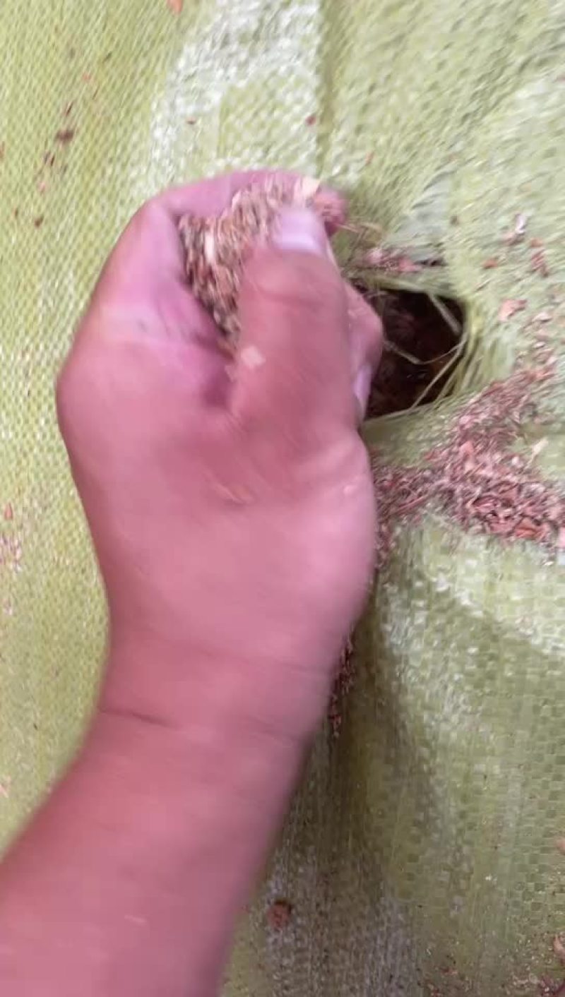 苹果渣梨渣红薯渣