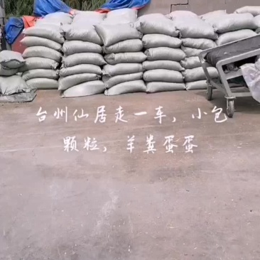 羊粪