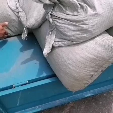 羊粪