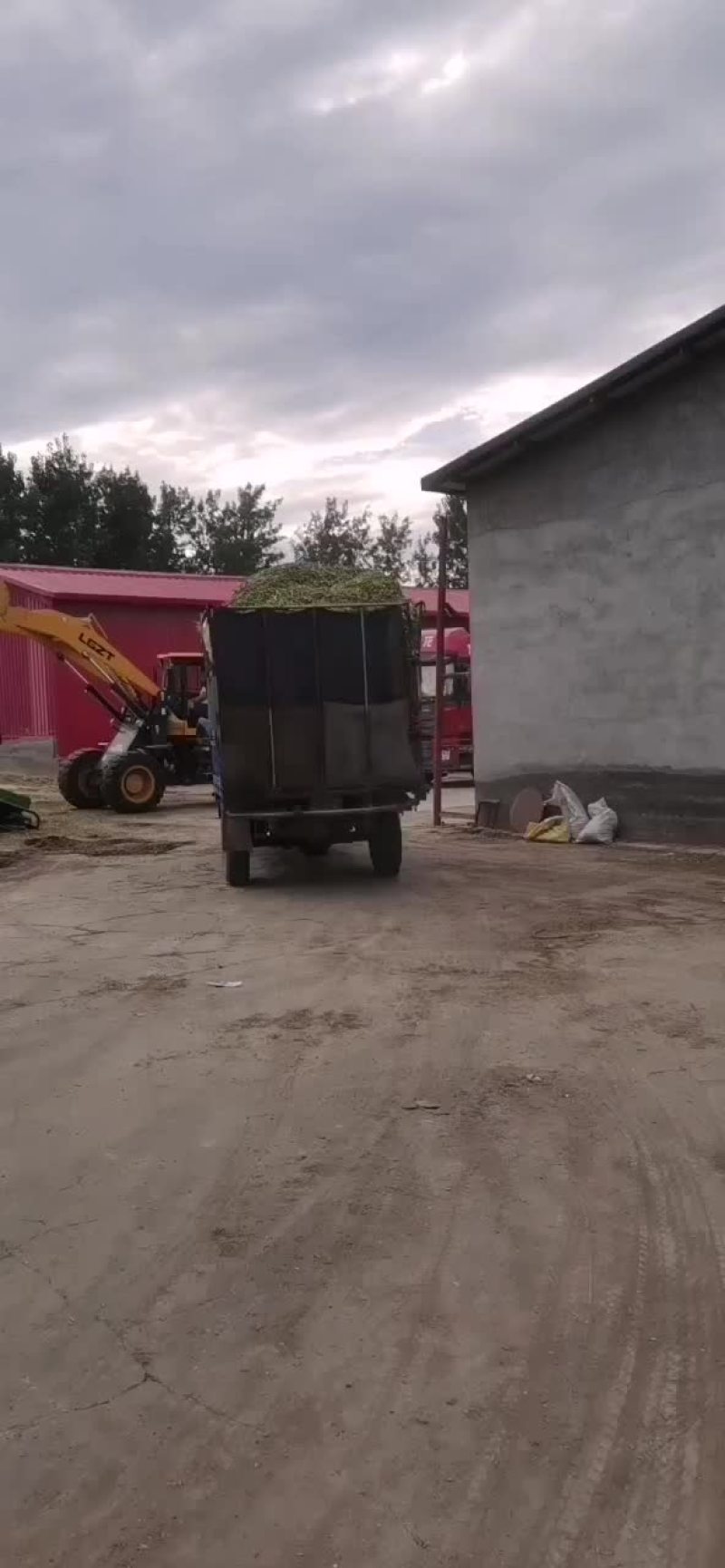玉米秸秆