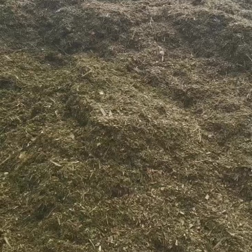 玉米秸秆