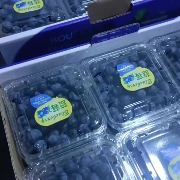 精选优质蓝莓出货中.一手货源.你负责卖.我们给你售后