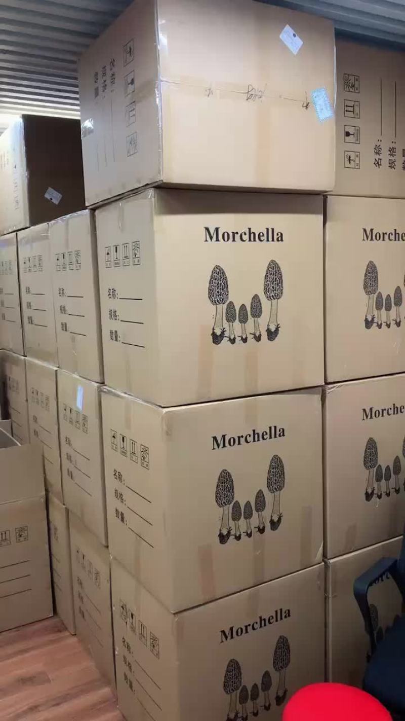 批发羊肚菌物美价廉