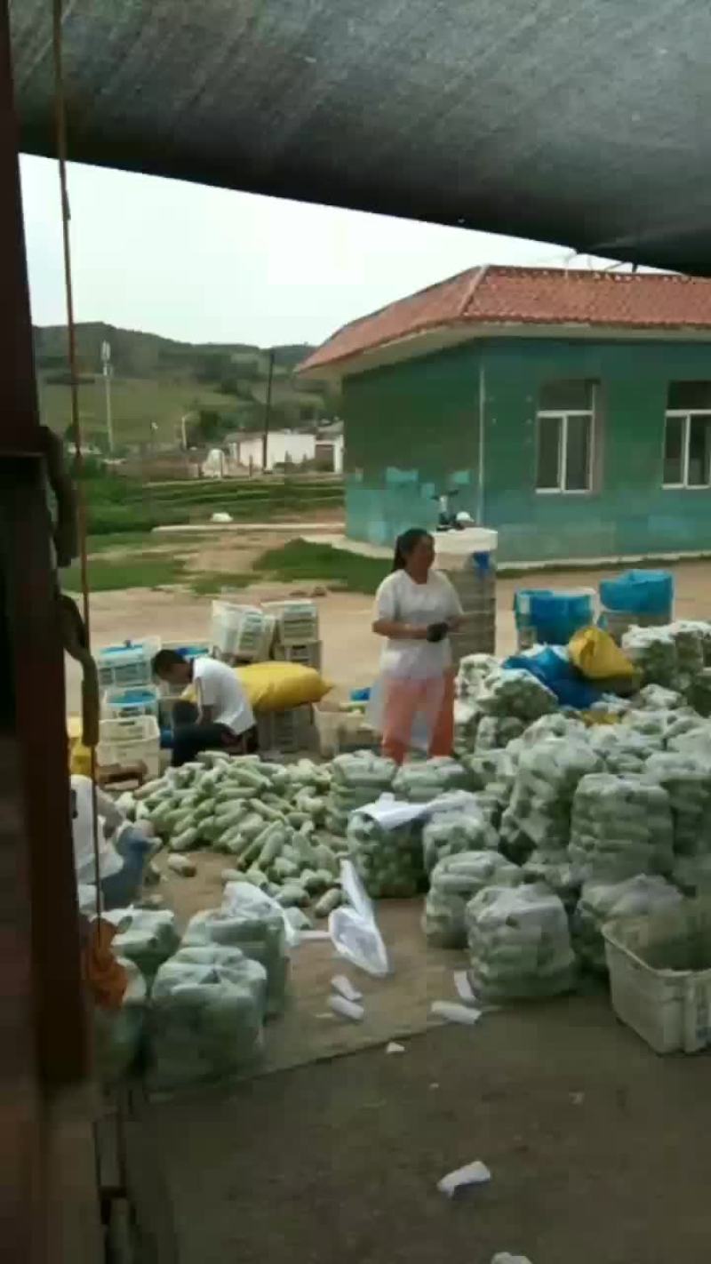 我要卖西胡芦