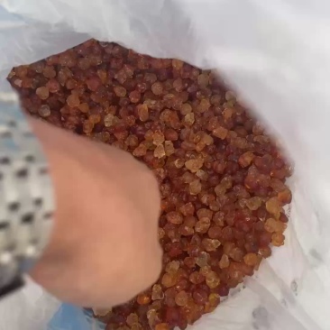 人工修剪桃胶（非机器打磨）