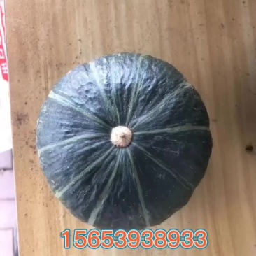 贝贝南瓜