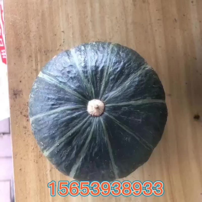 贝贝南瓜