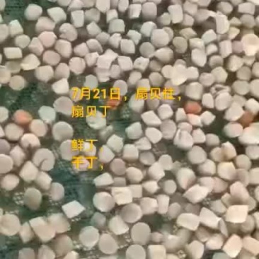 扇贝边。扇贝柱