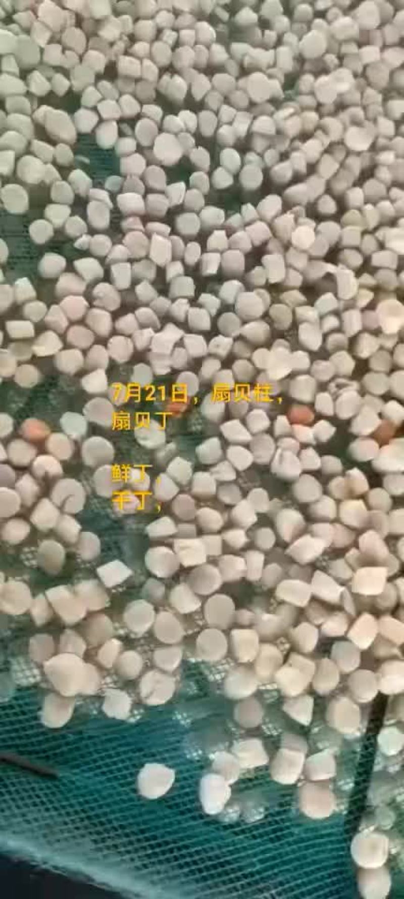 扇贝边。扇贝柱