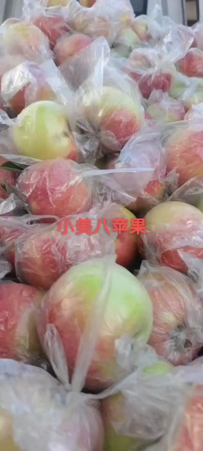 美八北京十四号大量供应
