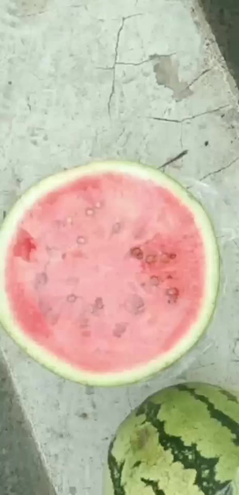 好西瓜