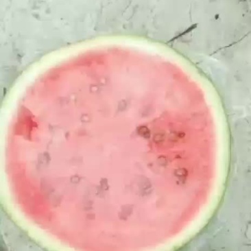 好西瓜