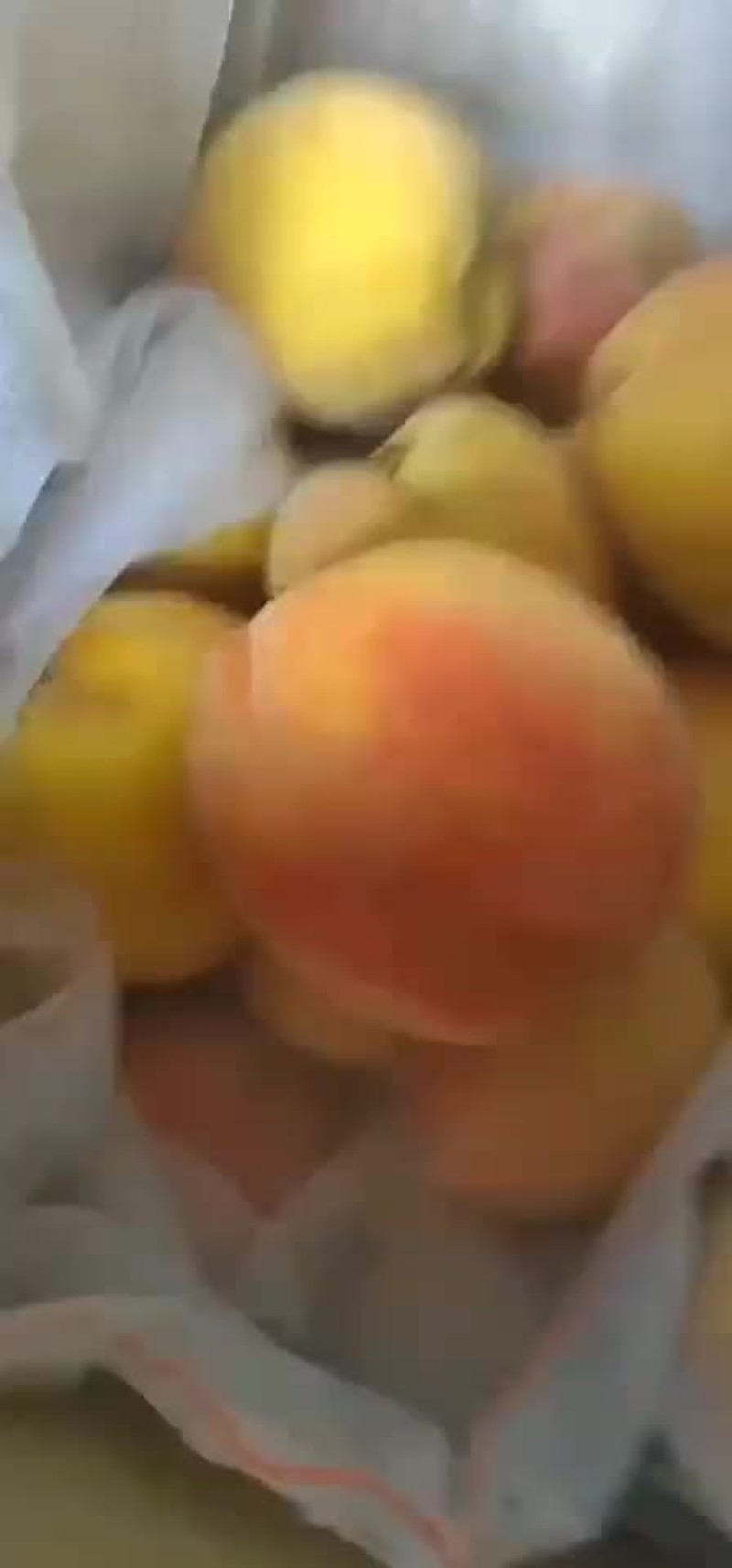 水蜜桃