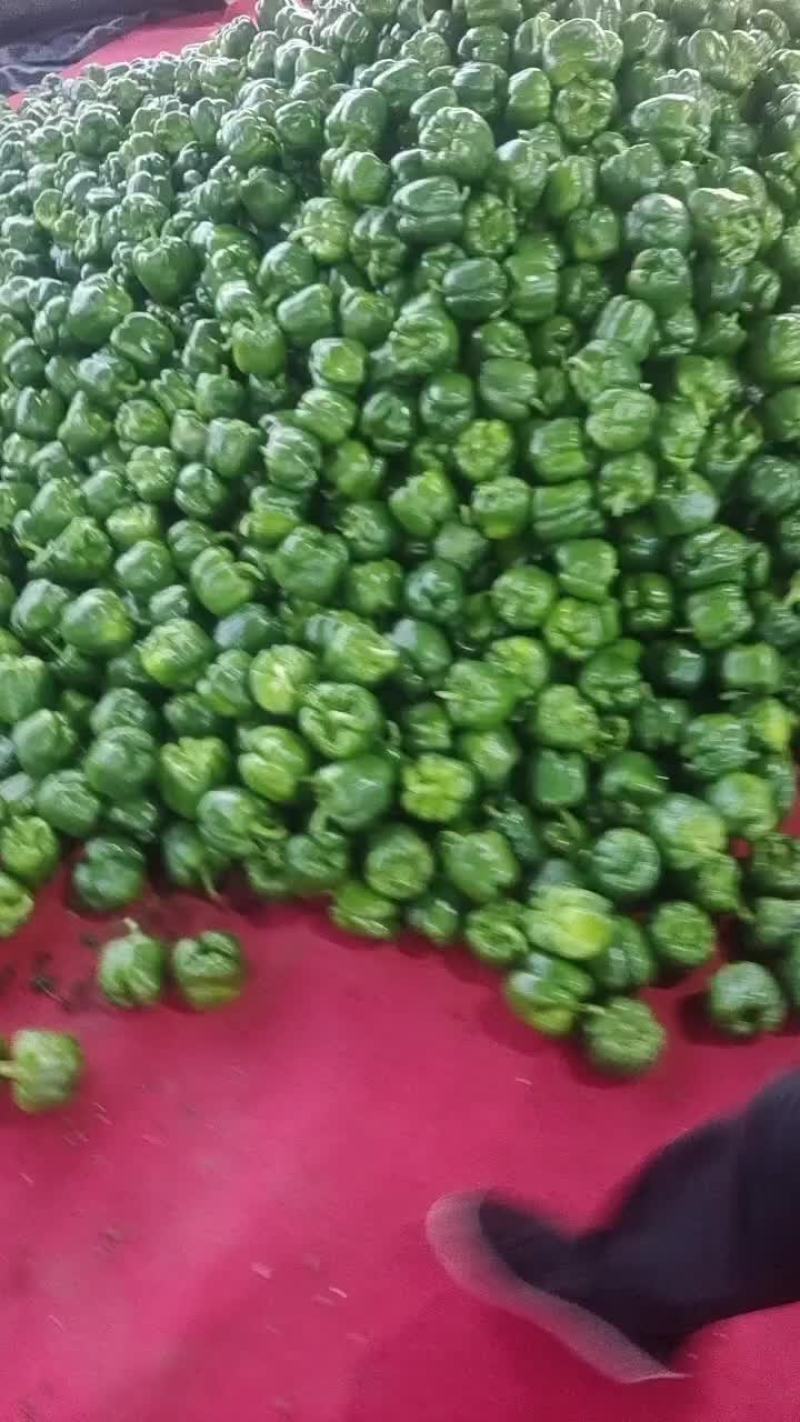 太空辣椒