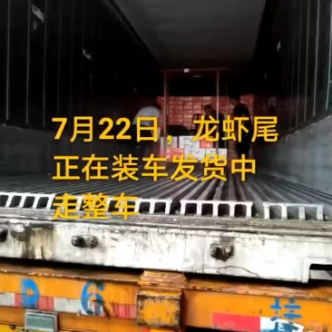 龙虾尾
