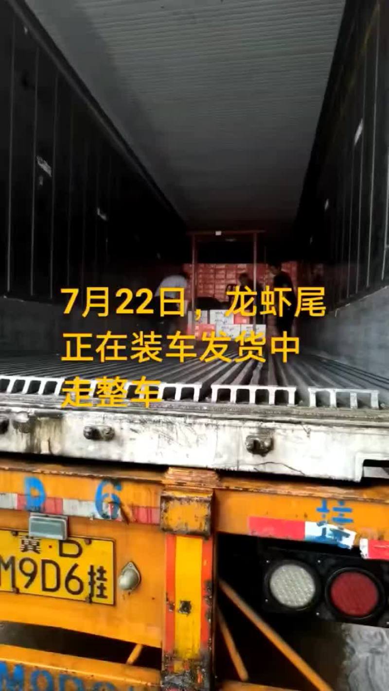 龙虾尾