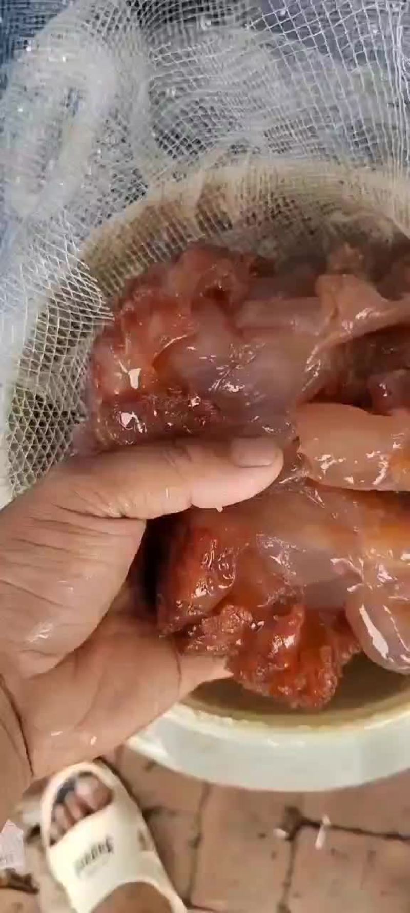 海蜇头（半成品）一手货源，