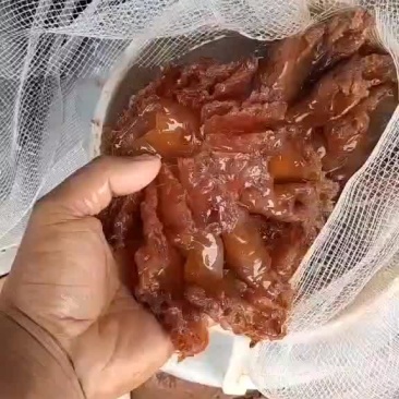 海蜇头（半成品）一手货源，