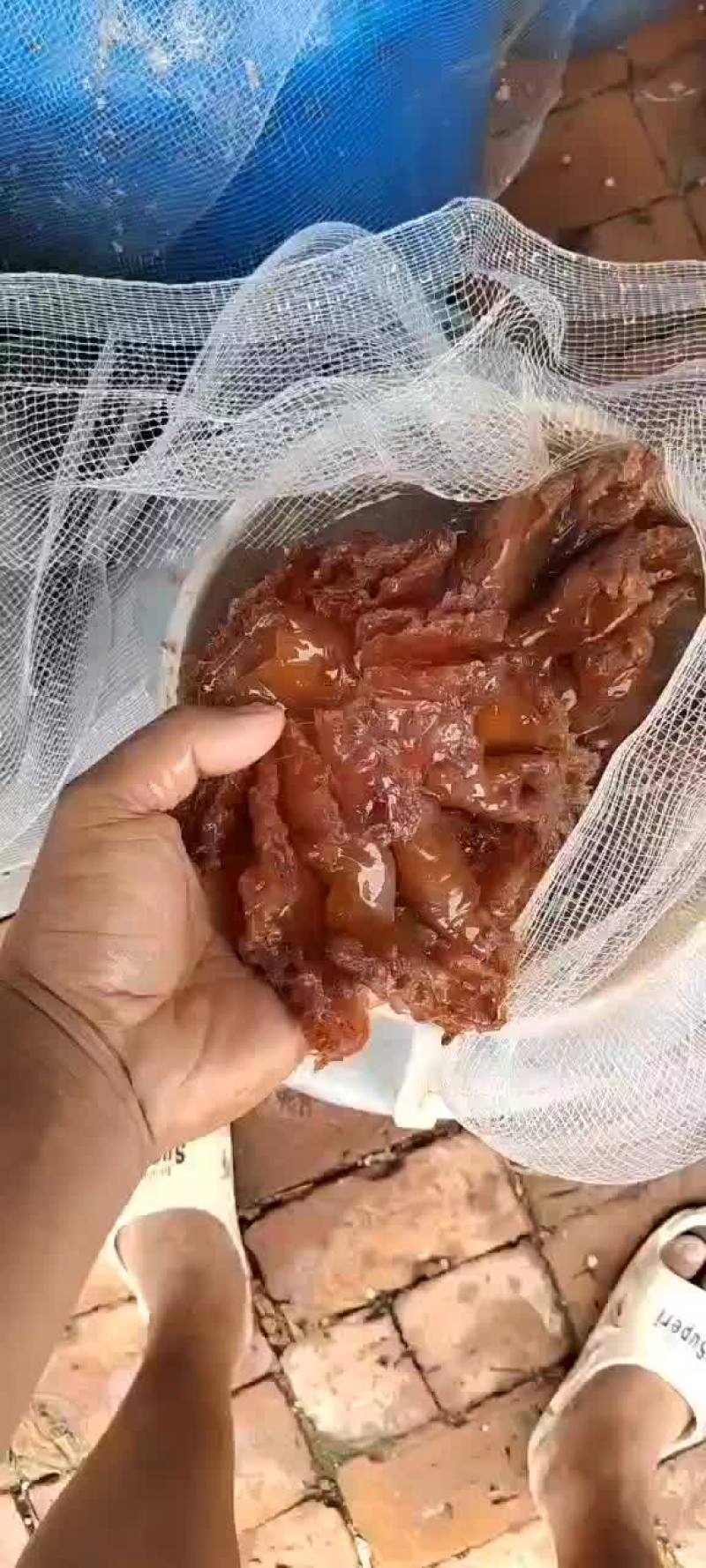 海蜇头（半成品）一手货源，