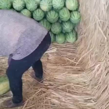 双红金城武
