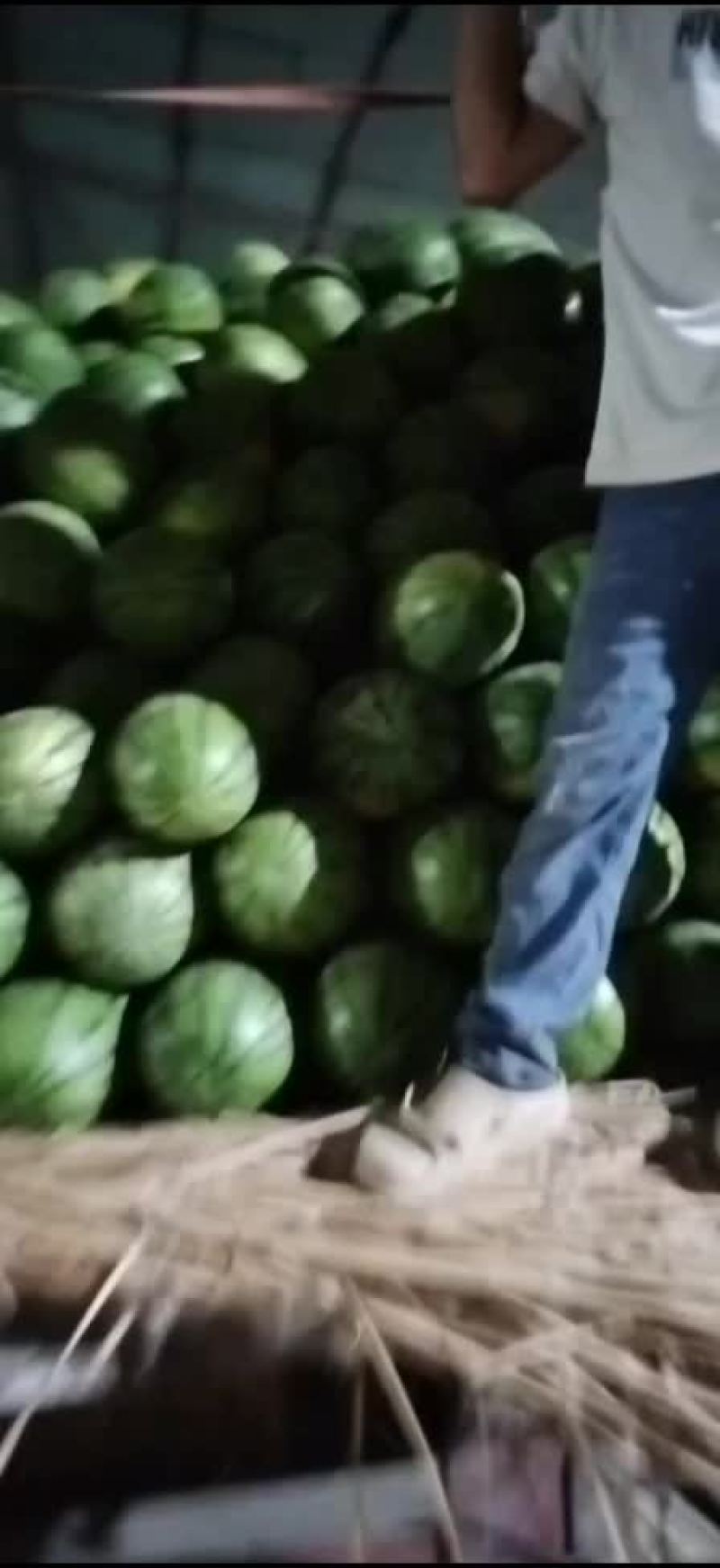 双红金城武