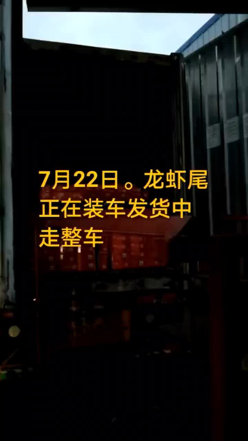 龙虾尾