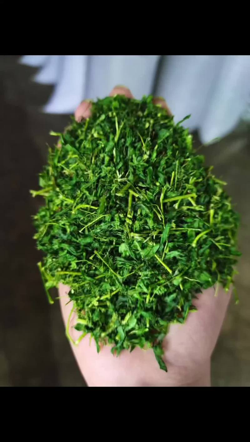 养肝草