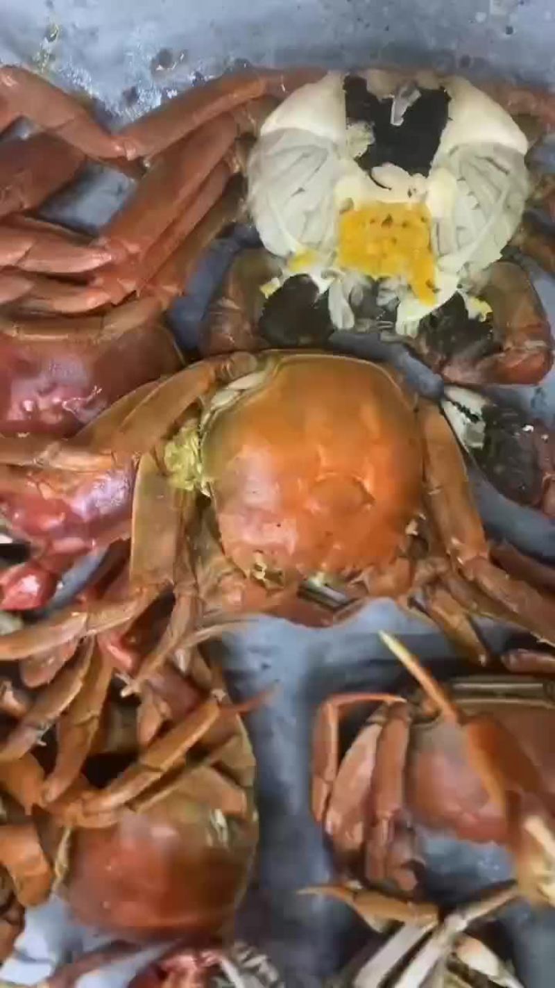 发财蟹，（白玉蟹），（盐螃蟹）。蟛蜞。河蟹，三种蟹