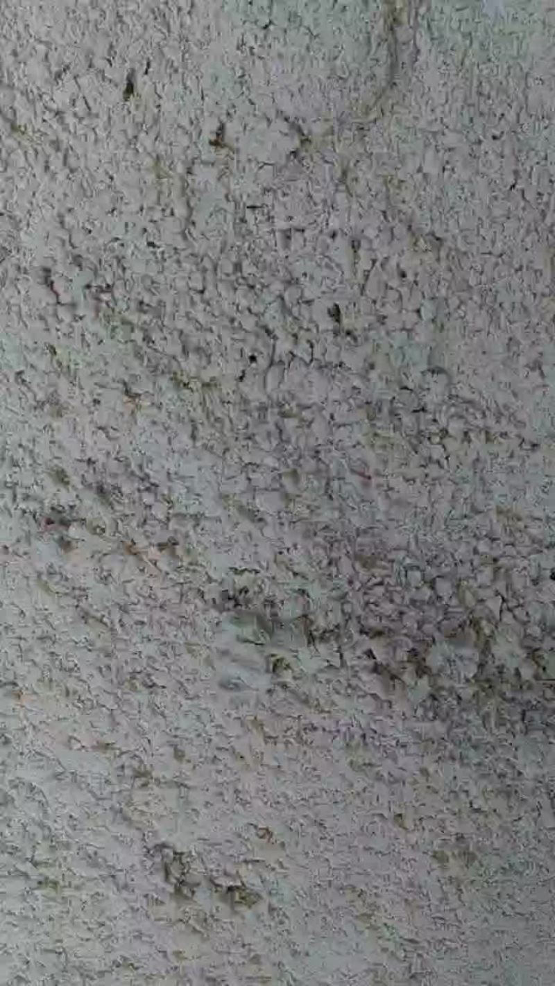 发酵豆腐渣，蛋白质含量高，加厚保鲜袋包装，保存时间长