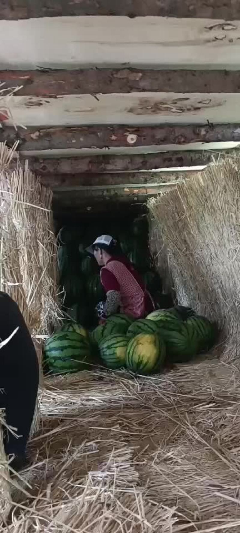 西瓜