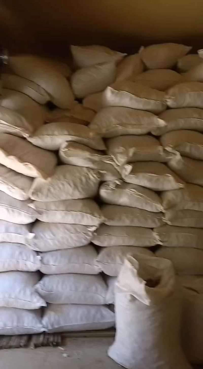 射干射干片鲜射干射干个子河北省保定市安国市