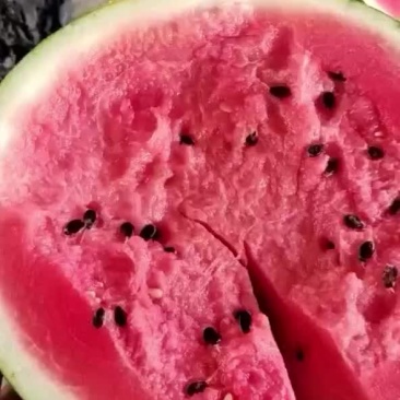 西瓜🍉甜美可口