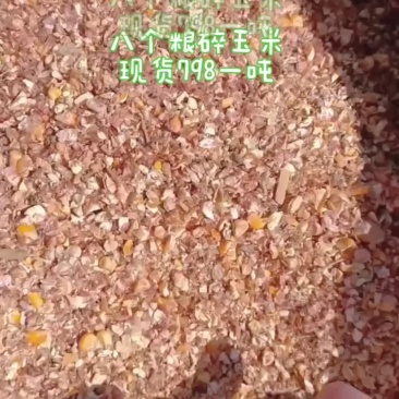 八个粮毛糠碎玉米现货常年供应