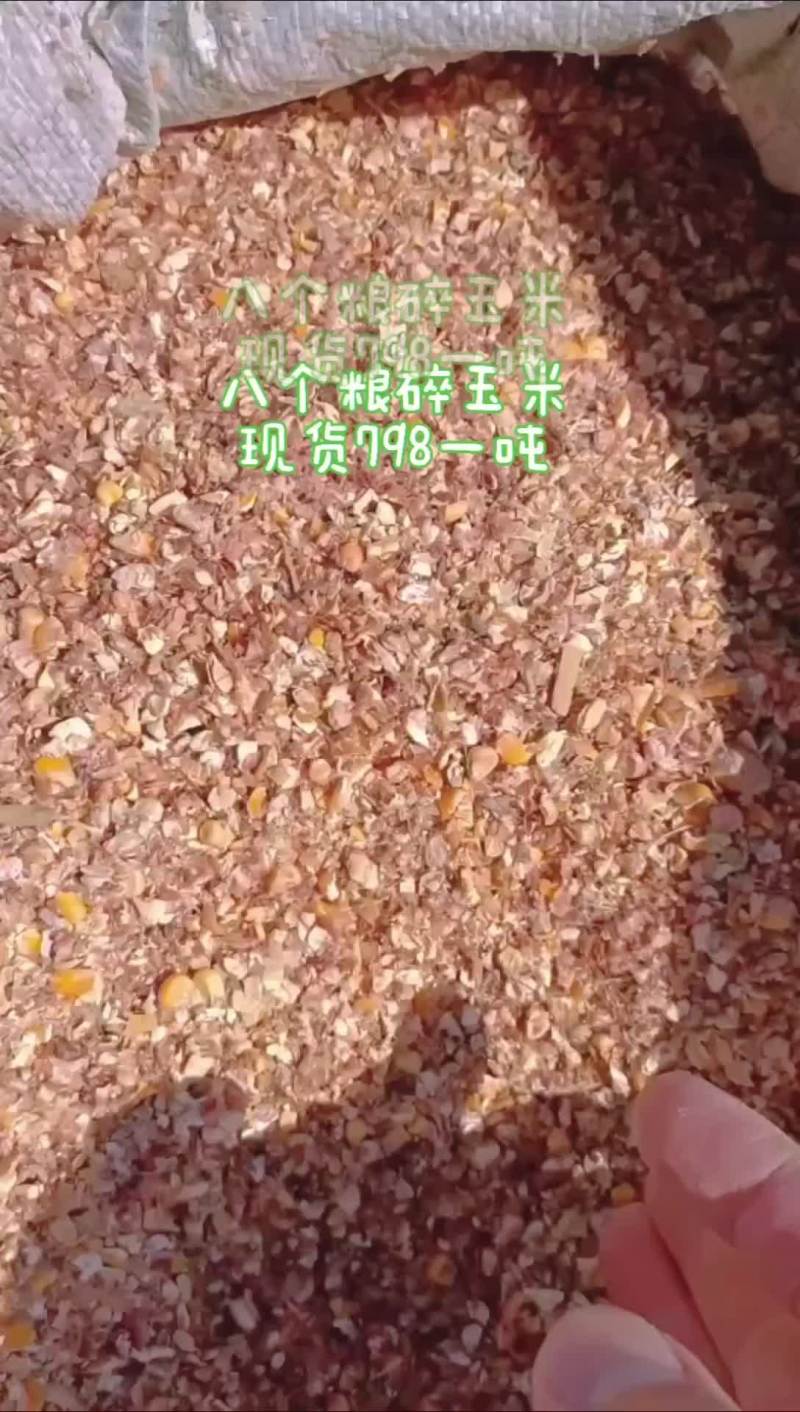 八个粮毛糠碎玉米现货常年供应