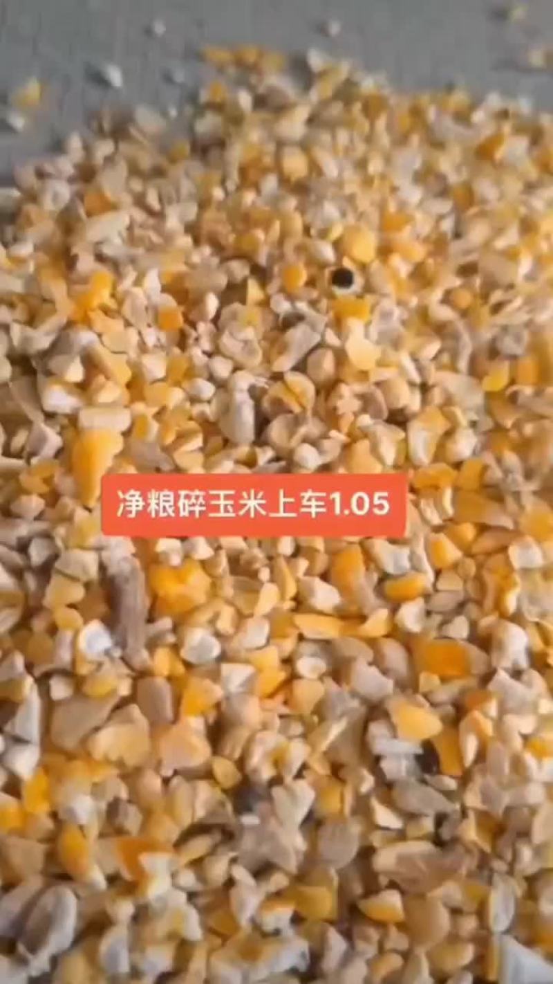 八个粮毛糠碎玉米现货常年供应