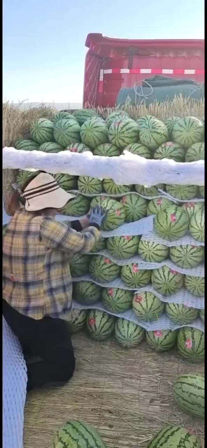 正宗宁夏砂石瓜，，，诚信第一，质量有三包