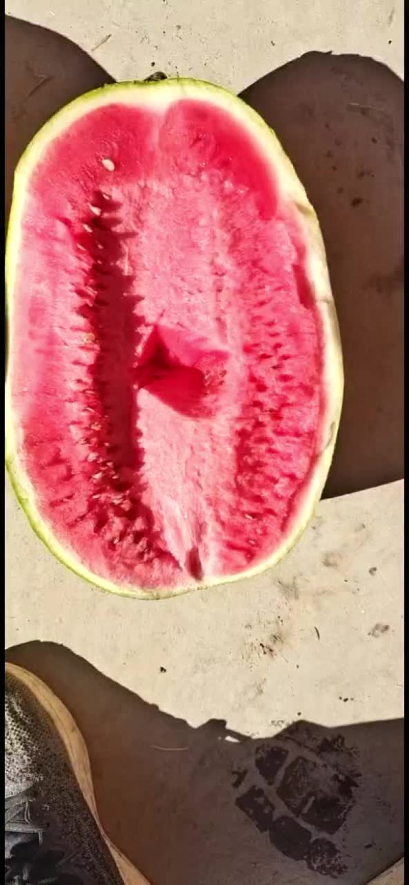 正宗宁夏砂石瓜，，，诚信第一，质量有三包
