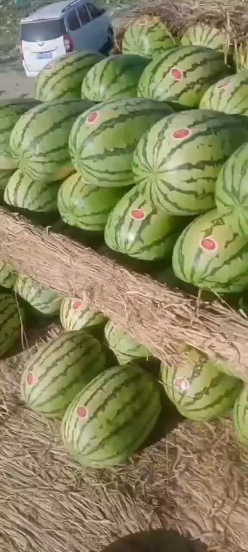 正宗宁夏砂石瓜，，，诚信第一，质量有三包