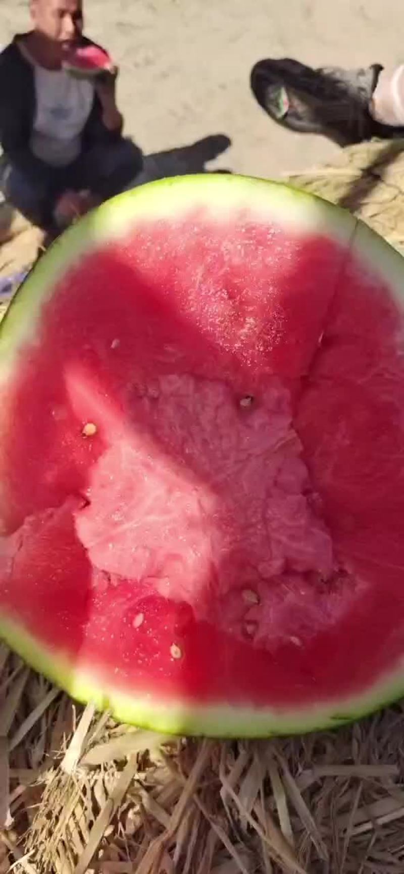 正宗宁夏砂石瓜，，，诚信第一，质量有三包