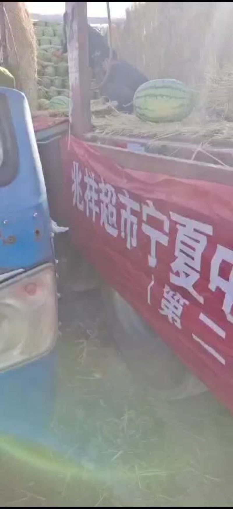 正宗宁夏砂石瓜，，，诚信第一，质量有三包