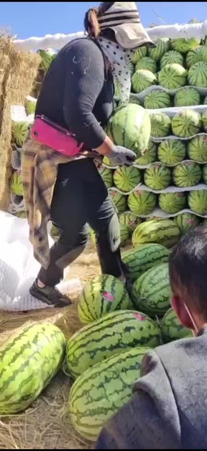 正宗宁夏砂石瓜，，，诚信第一，质量有三包