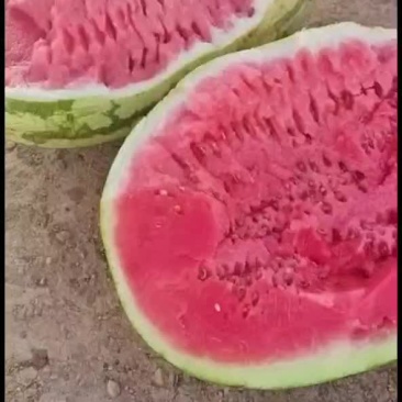 正宗宁夏砂石瓜，，，诚信第一，质量有三包