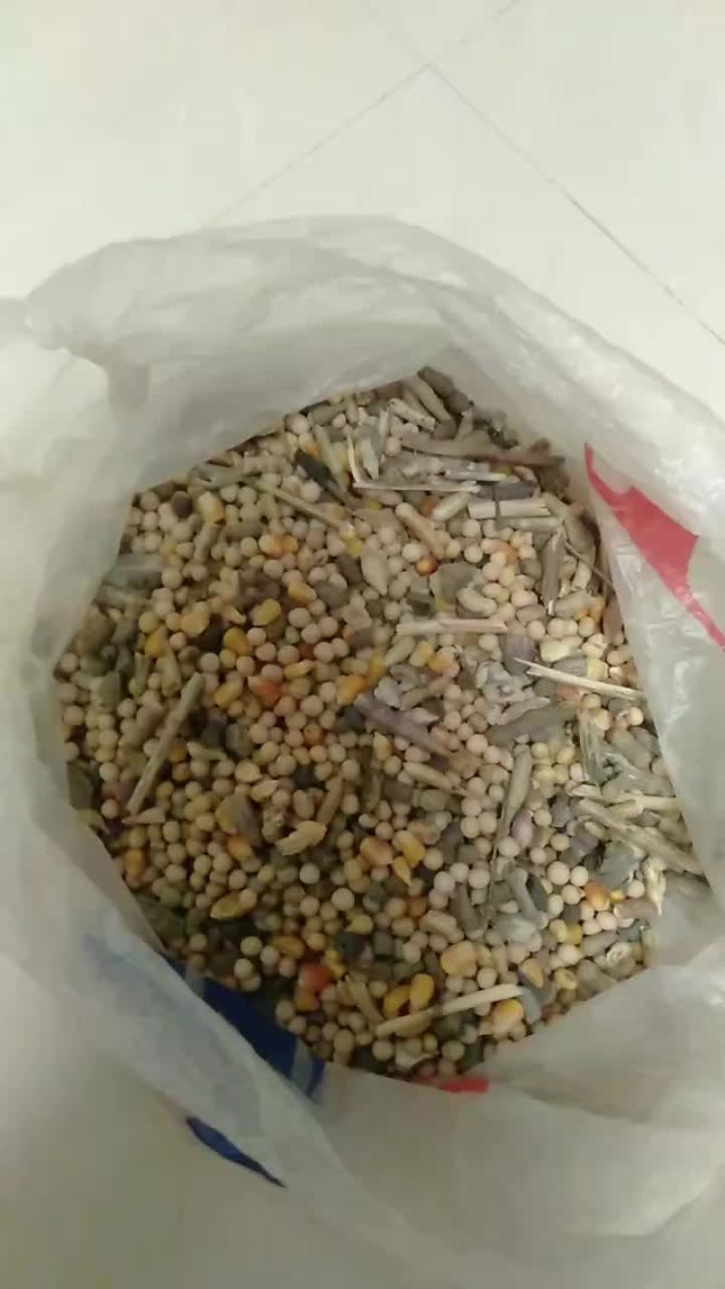 豆杂