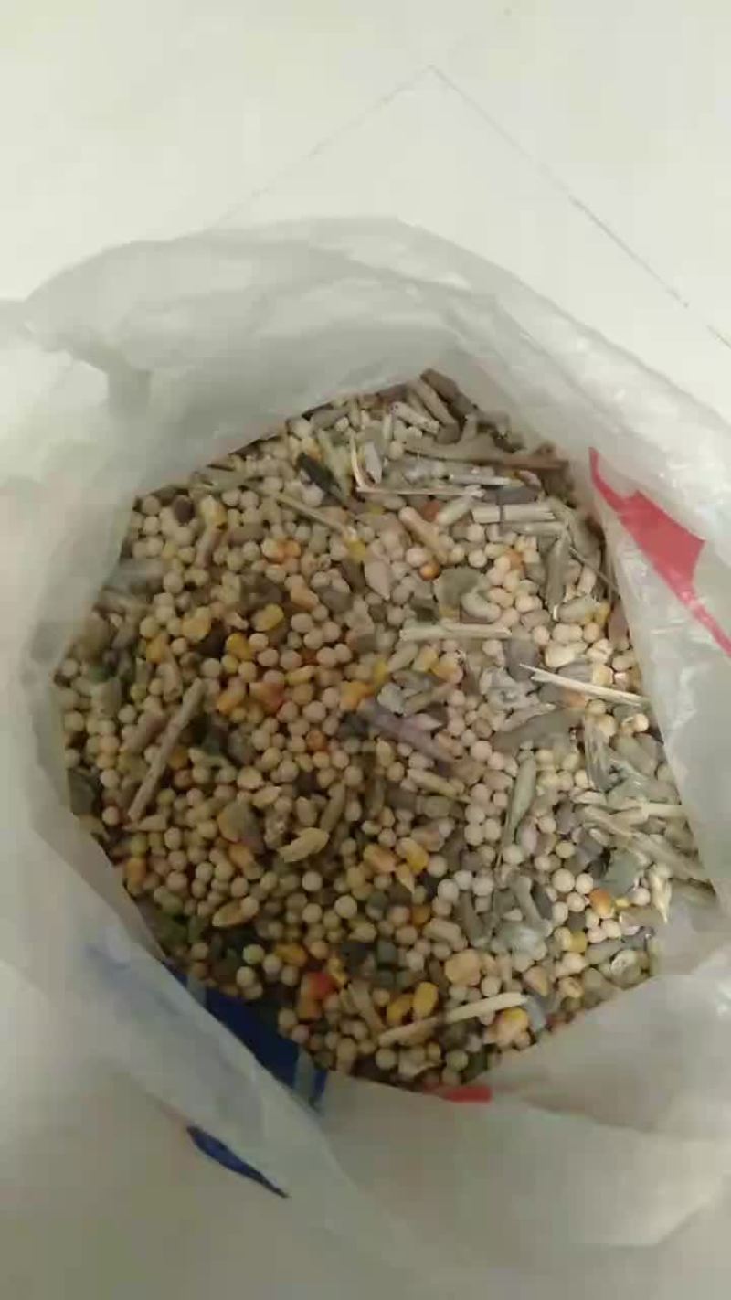 豆杂