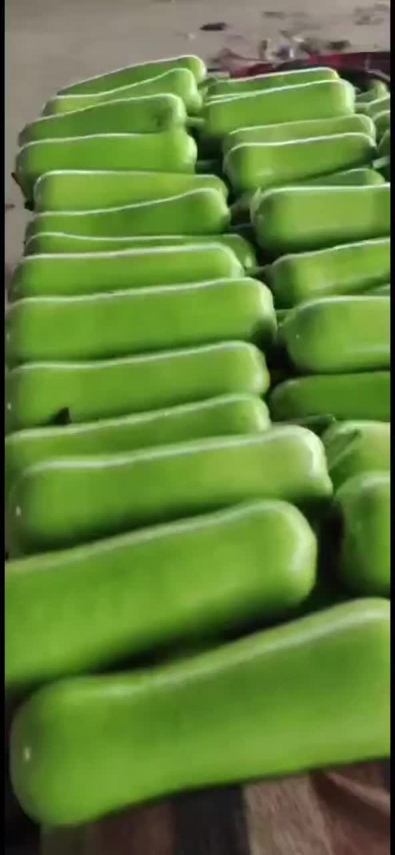 瓠子大量现货，价格便宜，包装人工齐全，质量保证