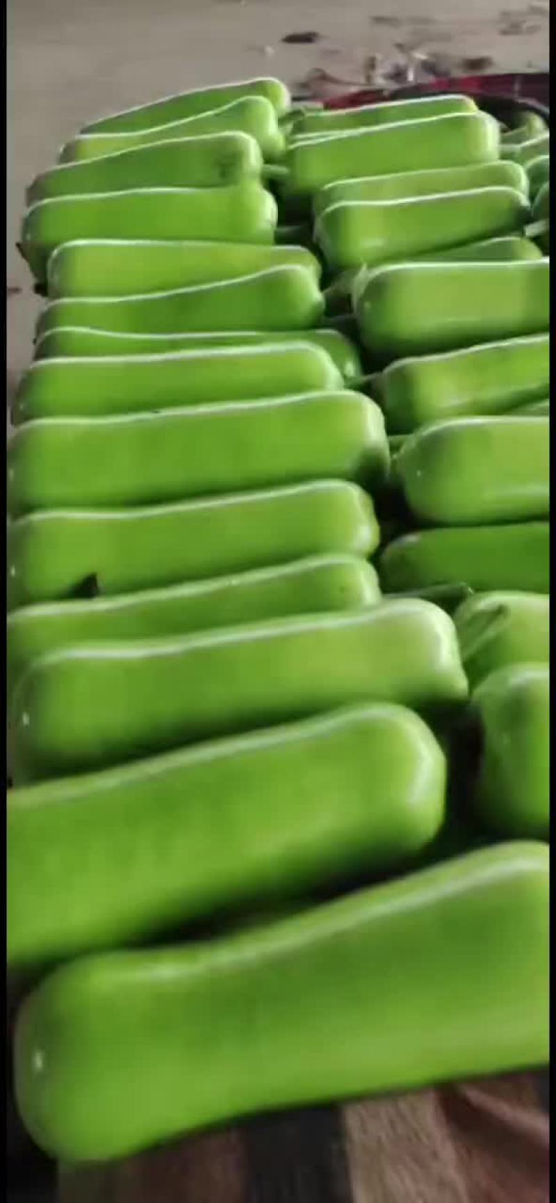 瓠子大量现货，价格便宜，包装人工齐全，质量保证