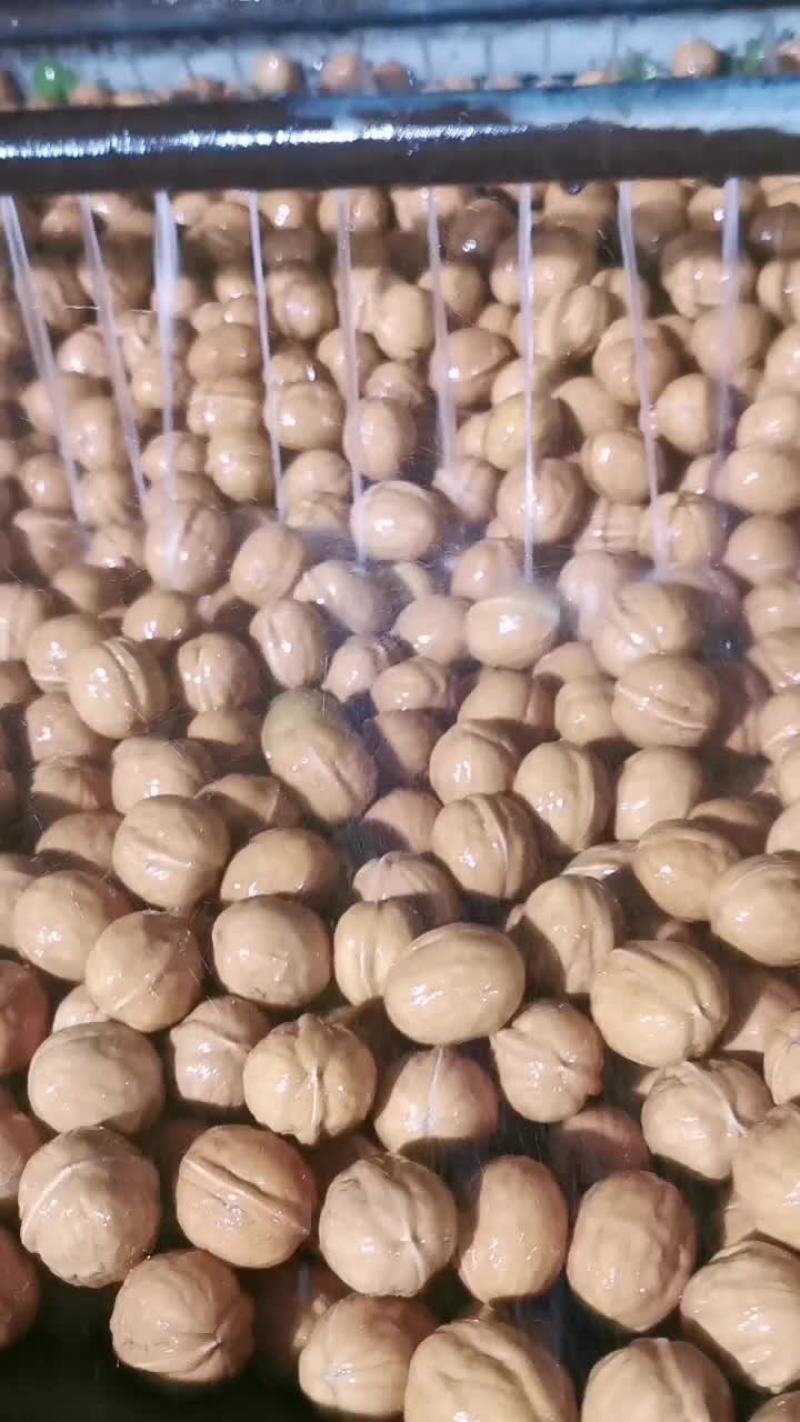 香菱核桃