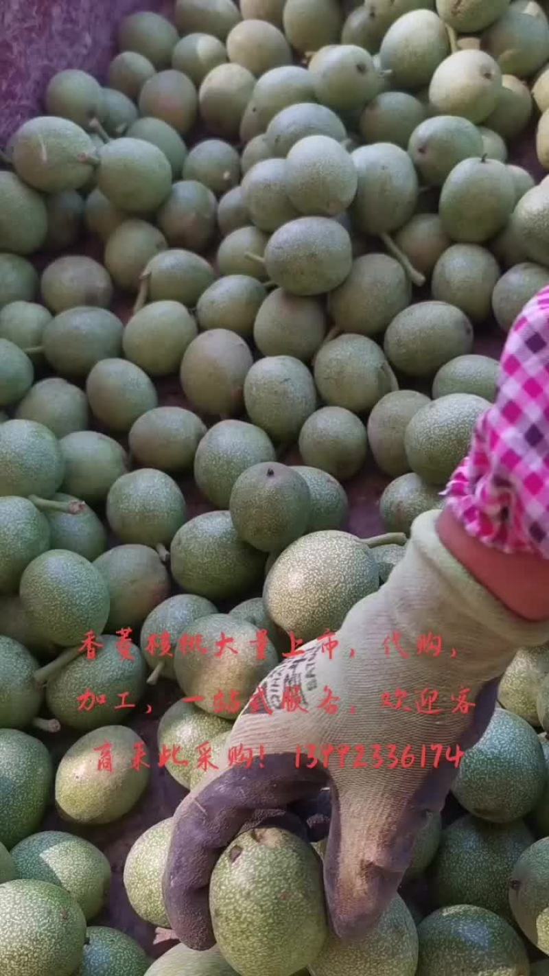 香菱核桃