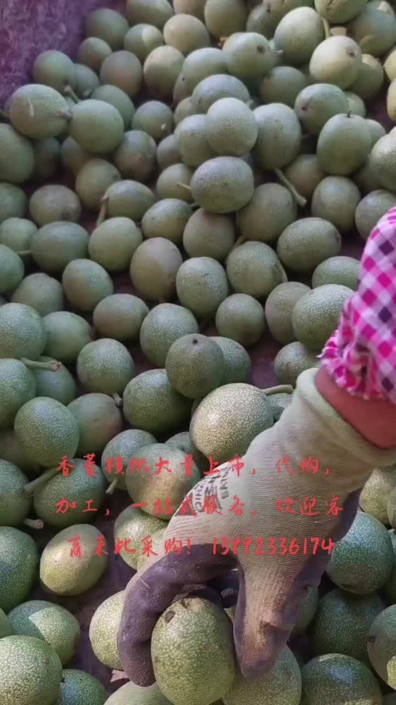 香菱核桃