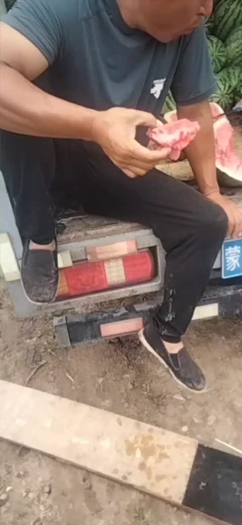 内蒙沙地西瓜嘎嘎甜